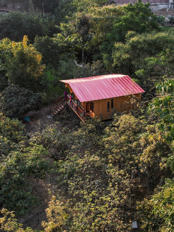 Screenshot 2025-05-21 014218